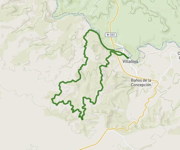 Ruta villatoya