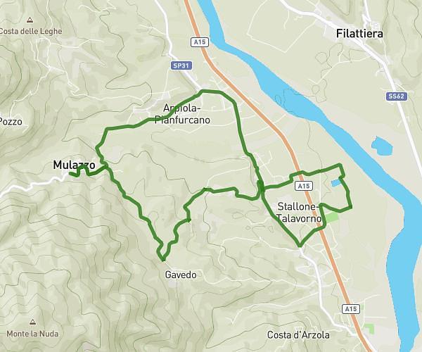 maserino
