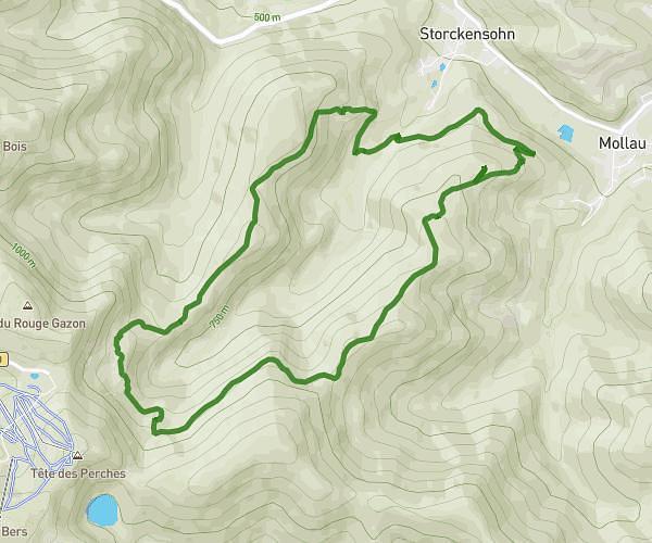 tour gazon vert
