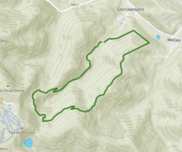 tour gazon vert alt 2