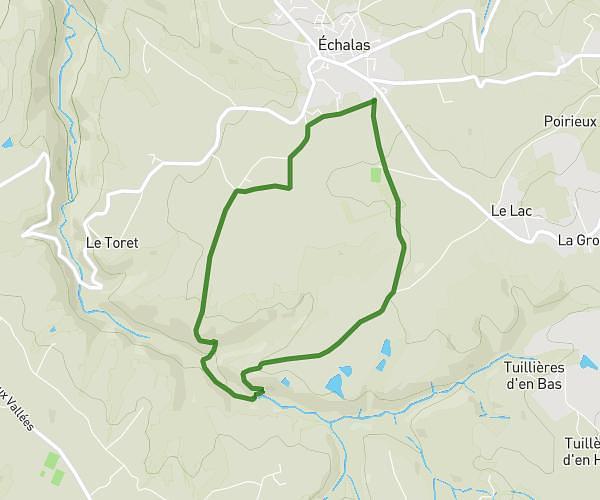 Ail des OURS