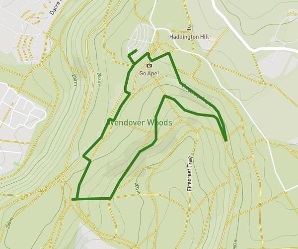 Firecrest Trail