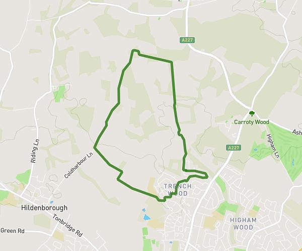 28.06.24 Walk
