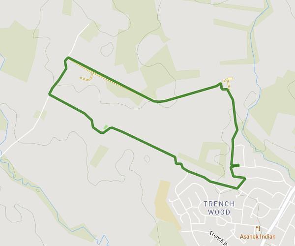 Walk 08.07.2024