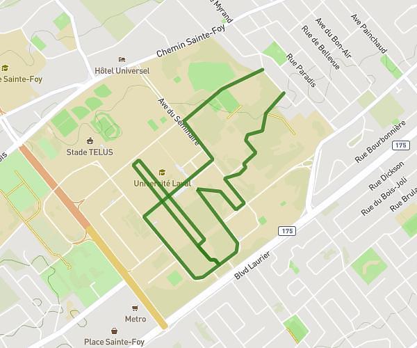 Course Université Laval