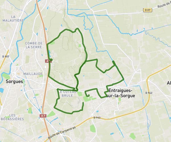 ENTRAIGUES 18K