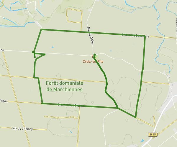 Foret de Marchiennes