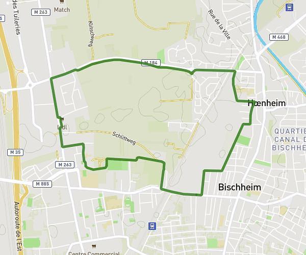 Bischheim Champ 5km