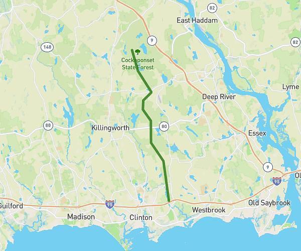 Cockaponset Marathon Hike (1st half)