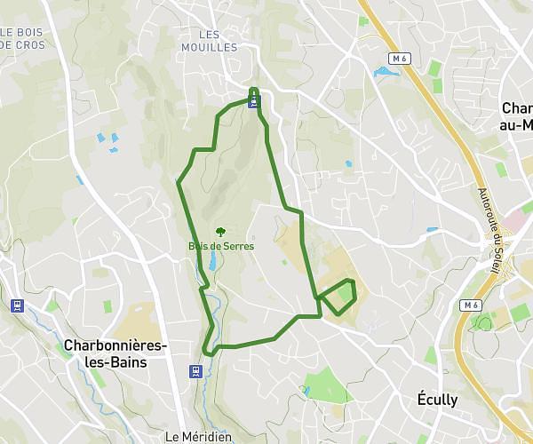 Run In Ecully 6,5K