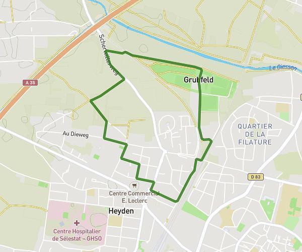 Grubfeld