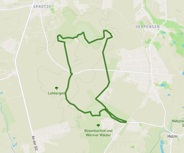 Brunsberg – Naturschutzgebiet Brunsberg Runde von Holm-Seppensen