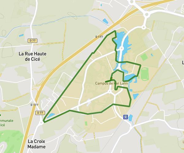 Kerlann run 2025