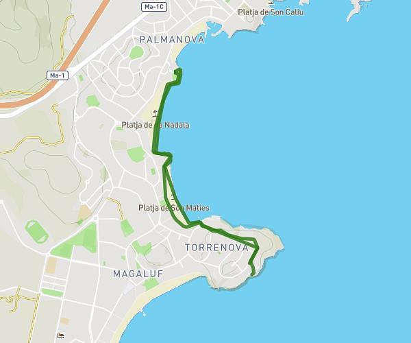 Palma 1