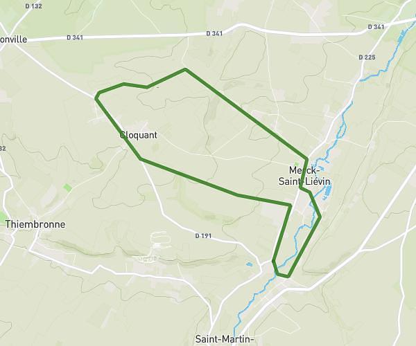 10 km 11/05/2025