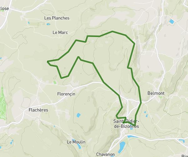 Forêt entre Belmont et Flachères