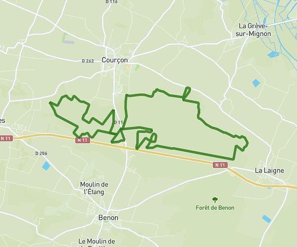 Semi dans la forêt de Benon