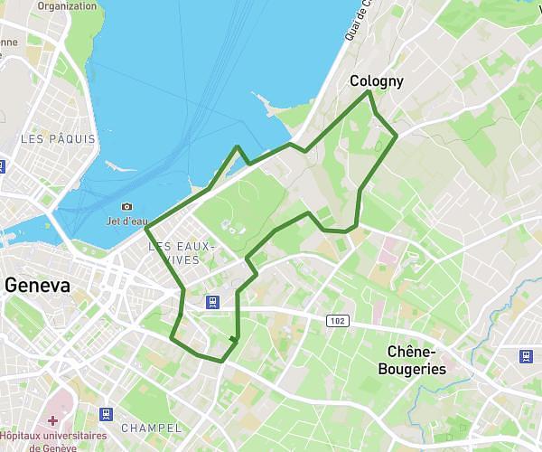 8 km