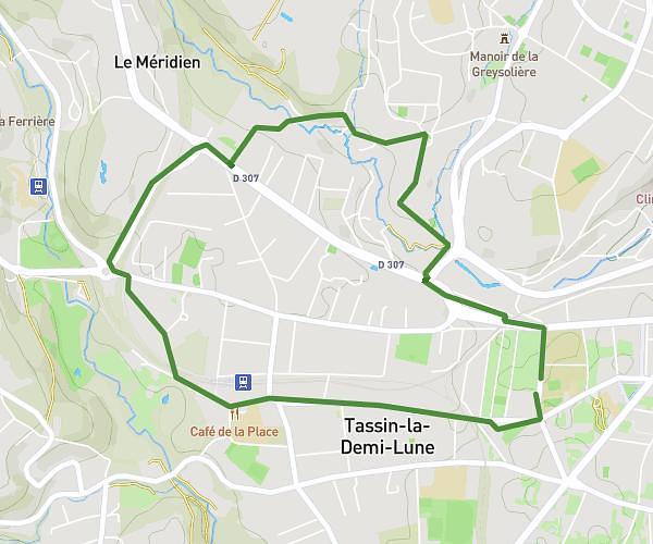 Vieux tassin