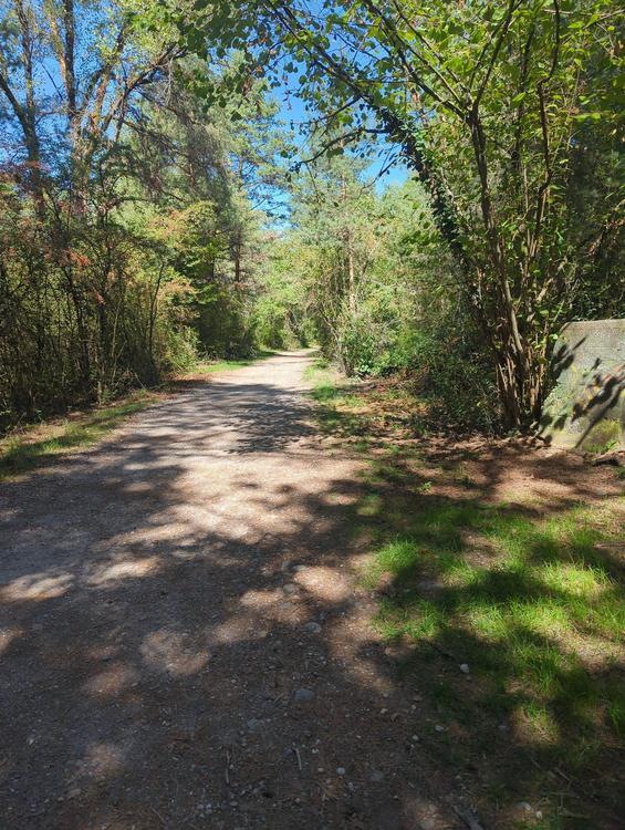 De Rue de la Barrade à Allée du Bois des Îles