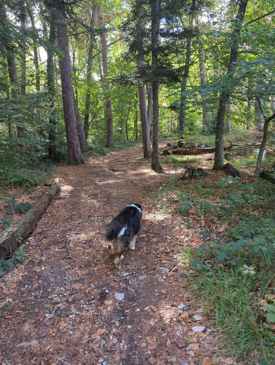 Autour de Parc aux biches