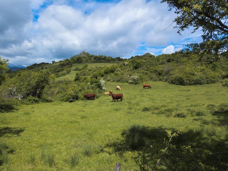 Pic du Brionnet depuis Saint-Floret