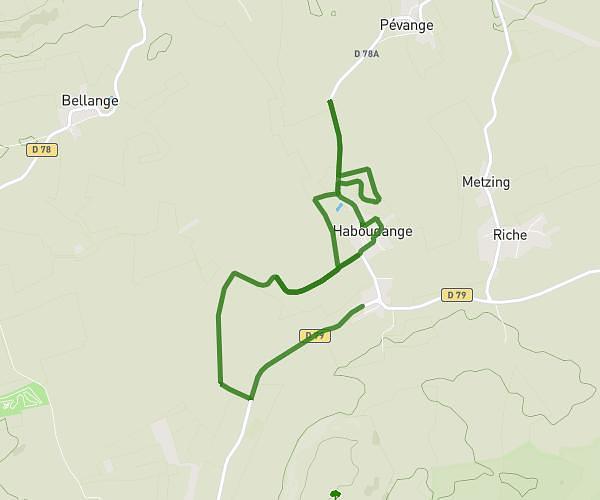 10km matinaux