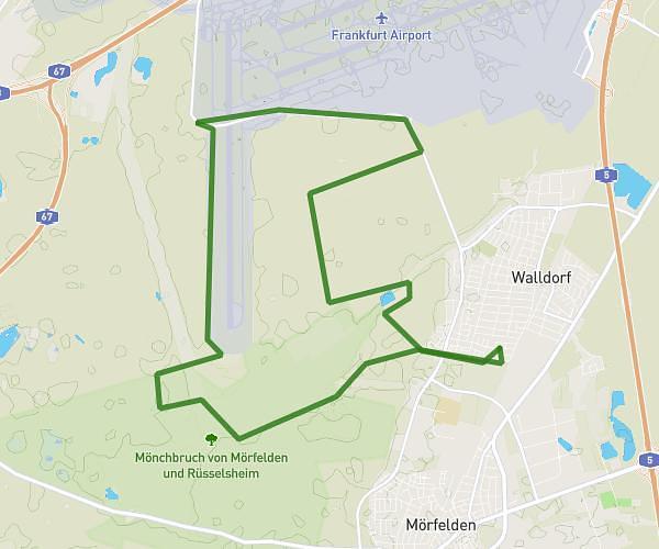 Testlauf 20km
