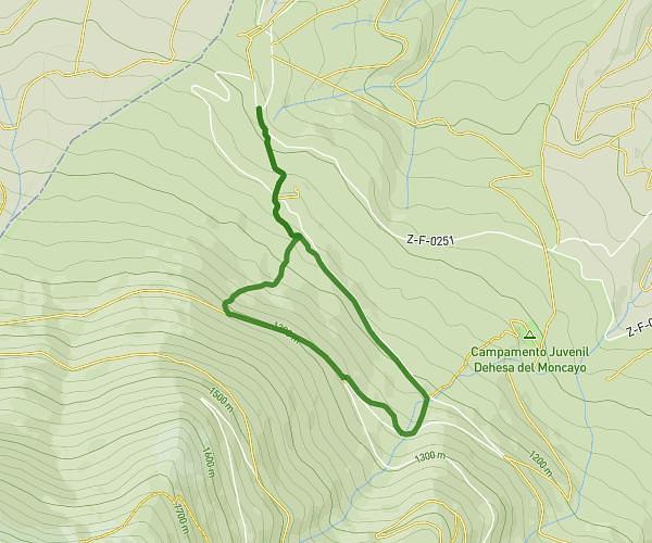 Agramonte, fuentes (teja, tres caños, del sacristan) y vuelta por hayedo