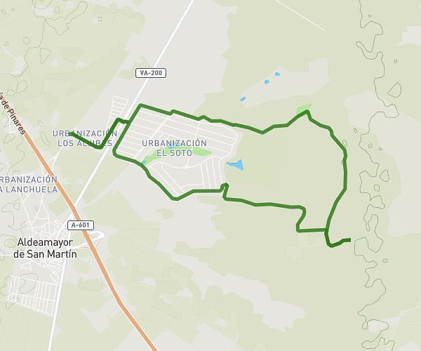 Ermita y Pino Carranza