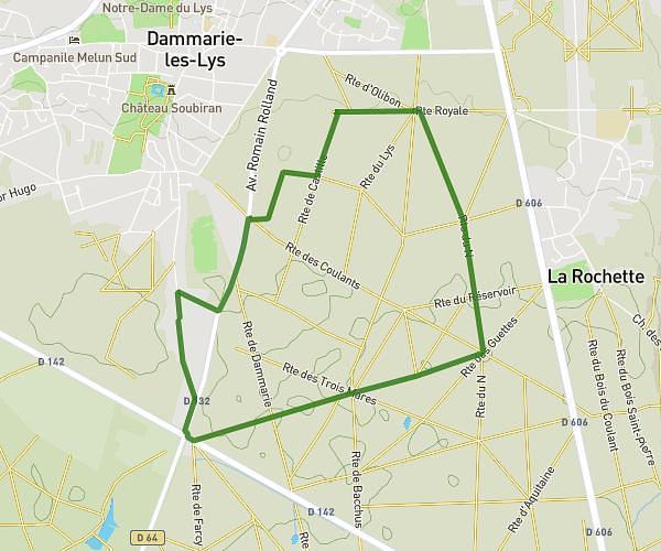 FORET dammarie