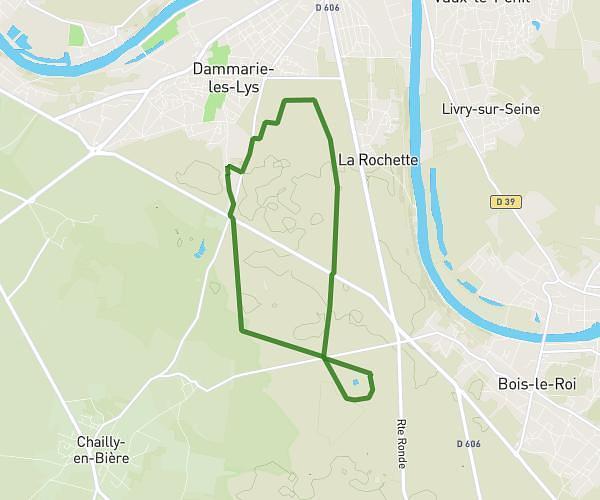 foret mare aux evée 12km