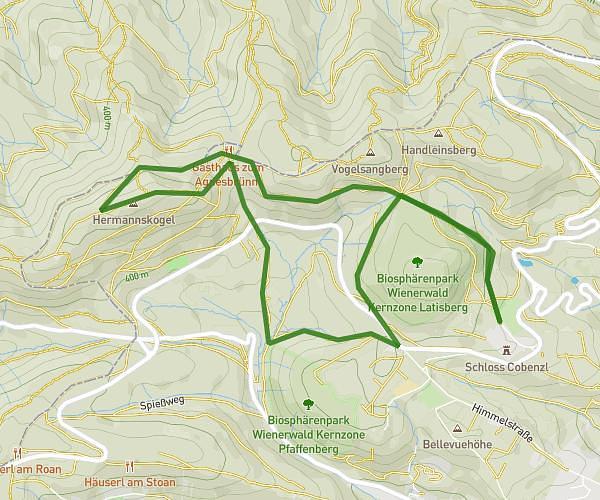 Vienna Trail Run - Light Trail - 7,5 km