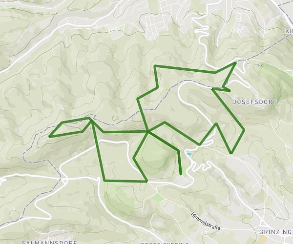 Vienna Trail Run - Classic Trail - 16 km