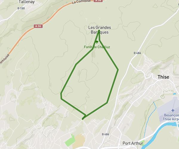 Chailluz 7,7km