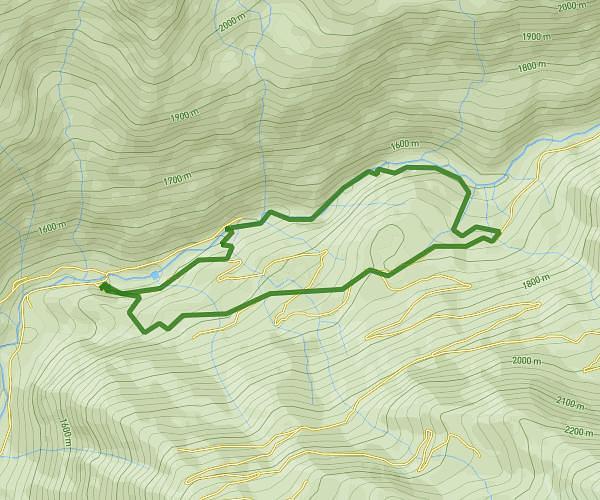 Pla de la Farga - Pla de la Selva circular (Vall Ferrera) - ... - Wikiloc