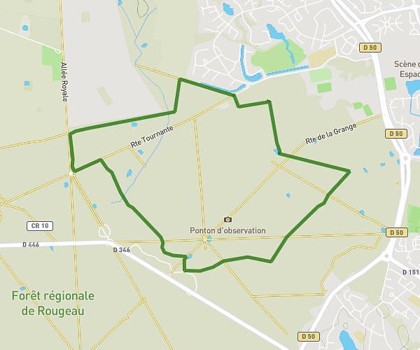 foret de Rougeau 1