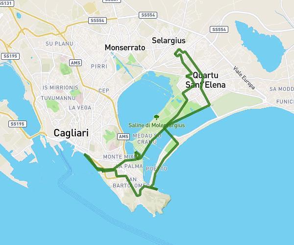 pedalata3