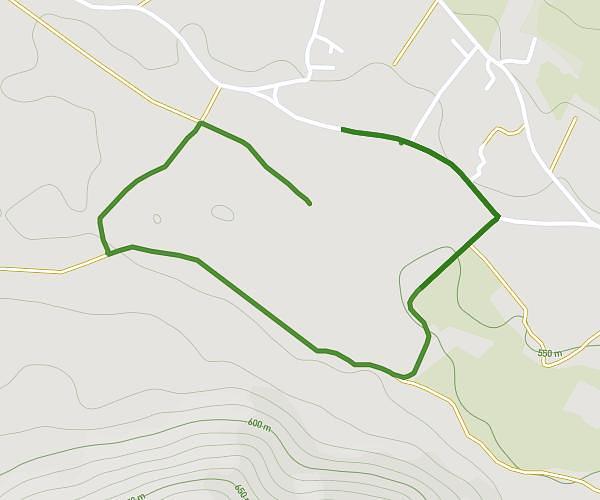 Ruta 1