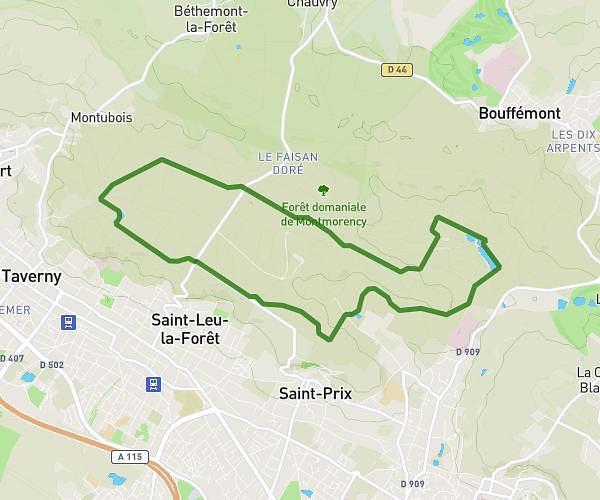 Balade en forêt de Montmorency