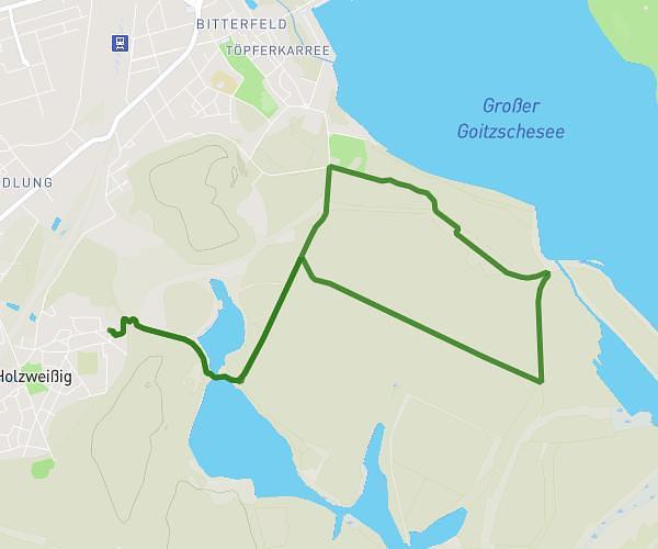 Goitzsche Runde