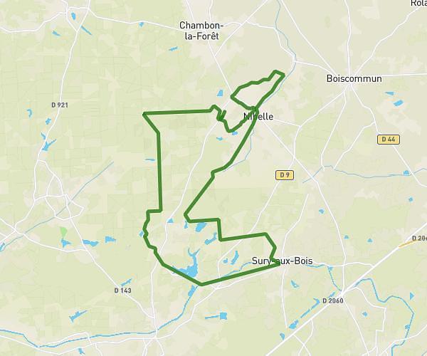 Mon marathon à moi 🕸️