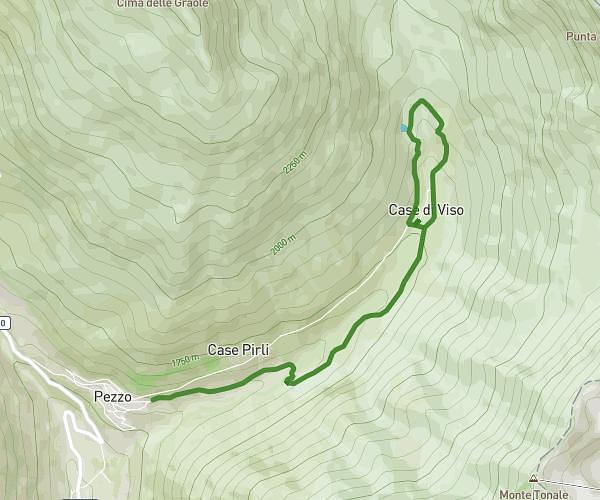Domani percorso D