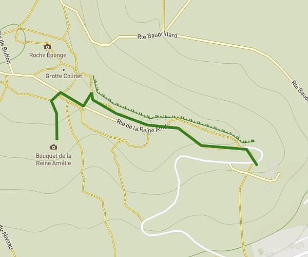 5. Bouquet de la reine Amélie
