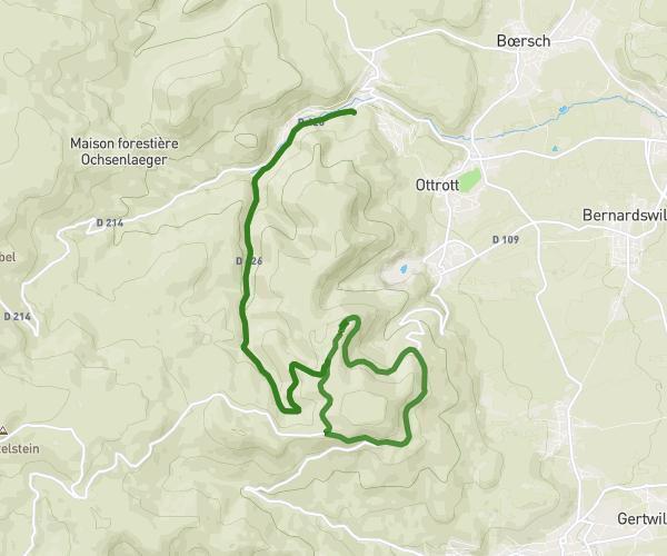Mont Sainte Odile (boucle)