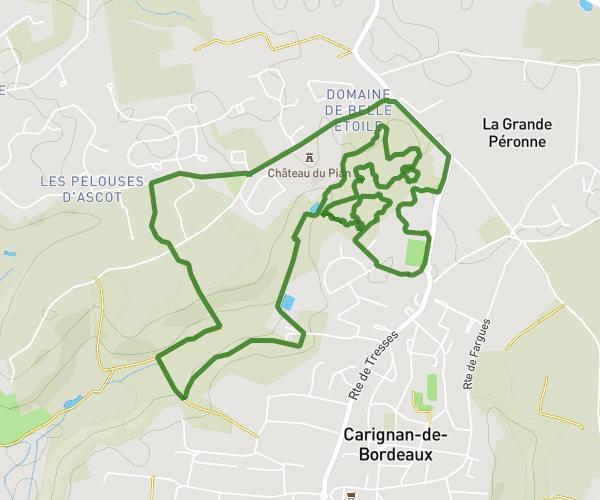Carignan de Bordeaux