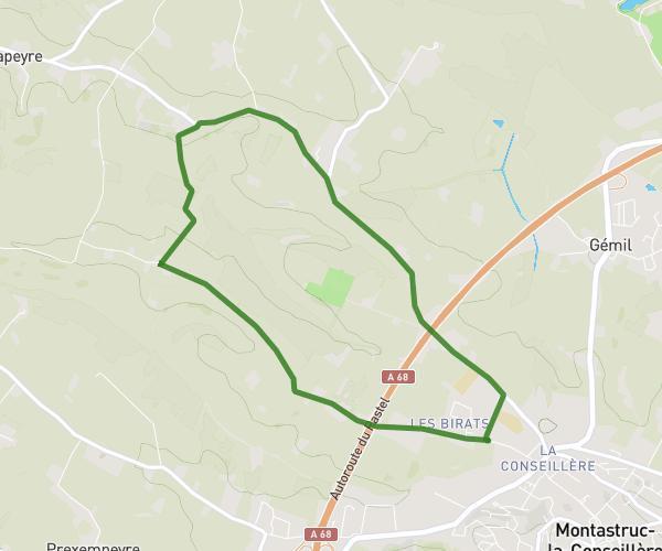 Rugby loop