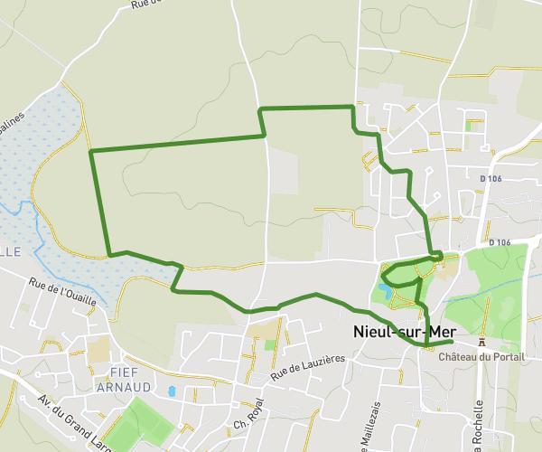 Octobre rose  Nieul-sur-Mer 4 km