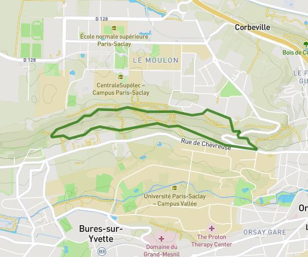 Boucle bois fac Orsay