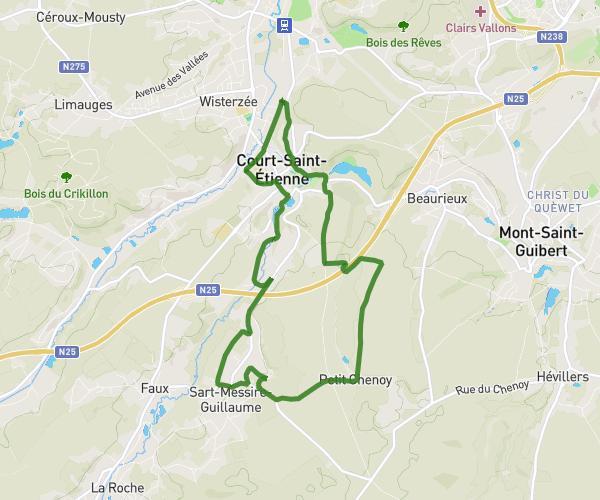 Running Court-Saint-Etienne 10km